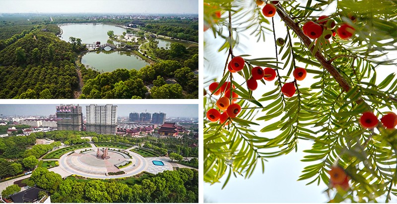 1591001759233071.jpg NXxsx5MKQSuXO-vX9r9E4A.jpg