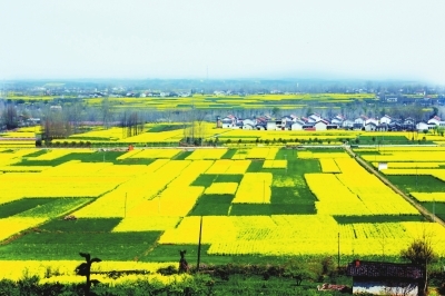 1593676621878285.jpg 1593676621878285.jpg