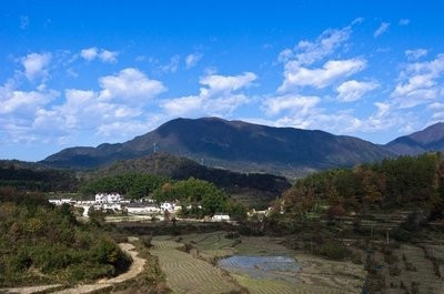 1593678839505856.jpg t01d1b5c28b481fadca_副本.jpg