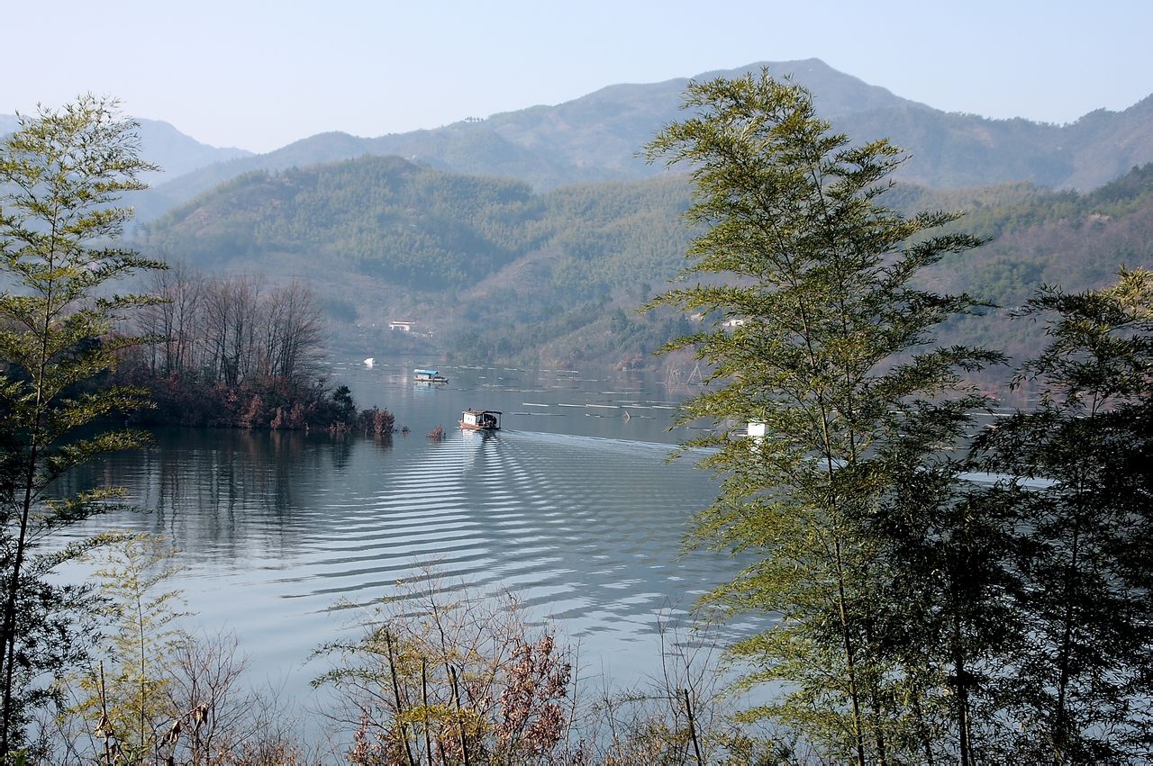 1593681080642036.jpg 1593681080642036.jpg