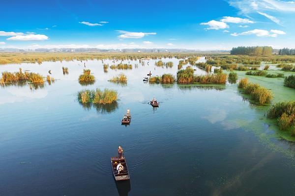 1593754498155430.jpg KNVc-hshmsti0501707.jpg