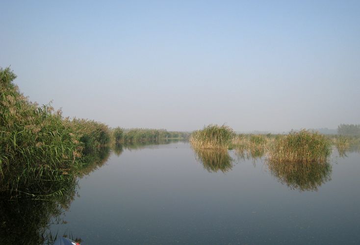 1593754519884460.jpg 1593754519884460.jpg